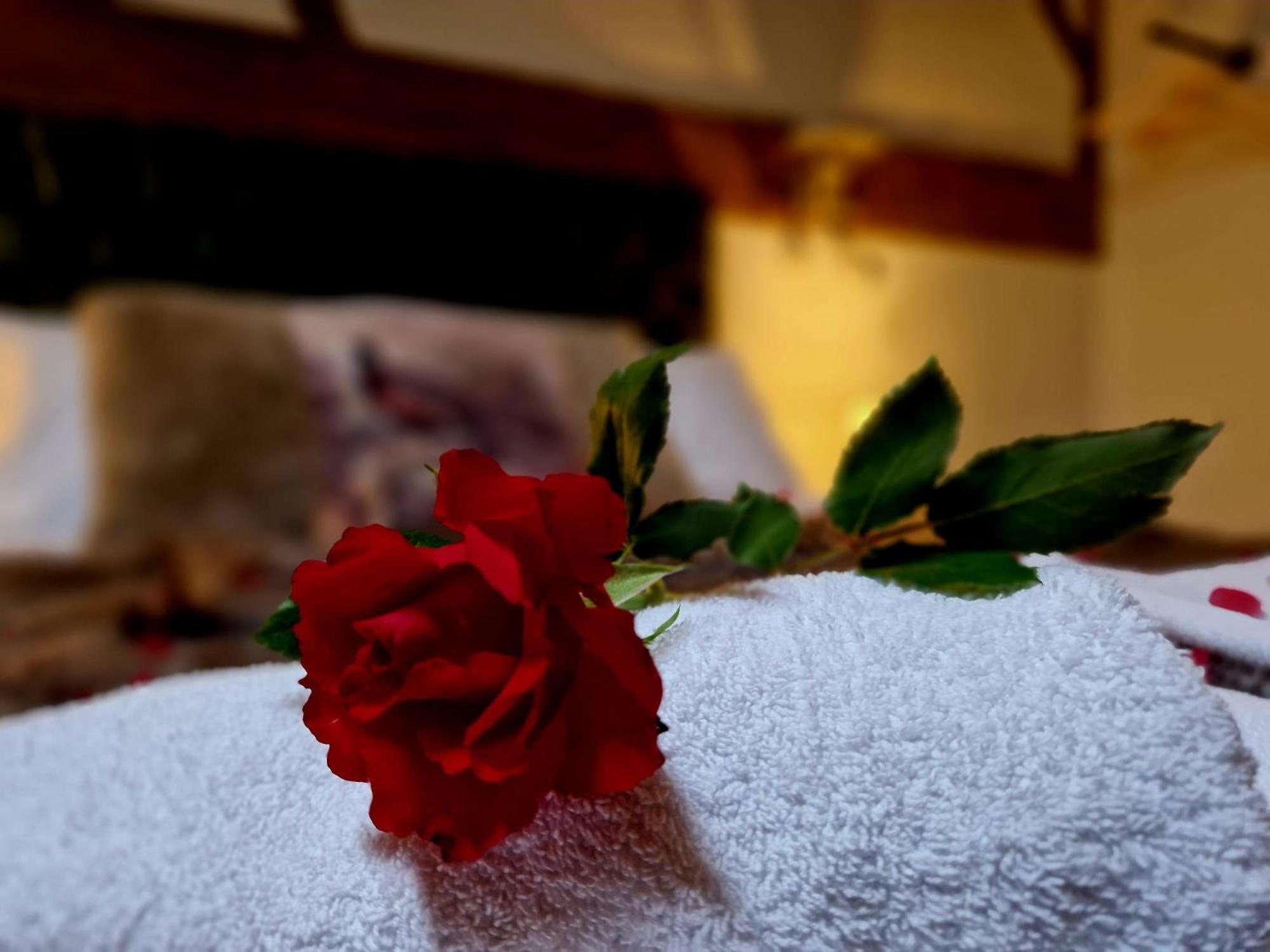 The Hamilton - The Studio Luxury Holiday Let'S Scorton  Eksteriør bilde